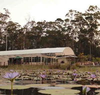 Abundance Cafe and Garden Centre - Accommodation Burleigh