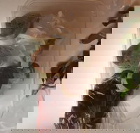 Dai Nam Cafe  Restaurant - Accommodation Burleigh