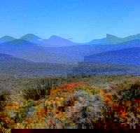 Arcadia Wines - Accommodation Burleigh