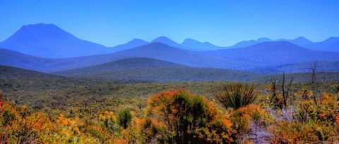 Arcadia Wines - Accommodation Burleigh 0