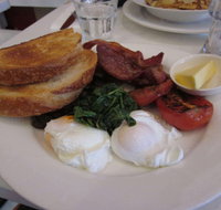 Chicken and Fishhead - Accommodation Burleigh
