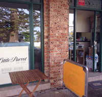 Little Parrot - Accommodation Burleigh