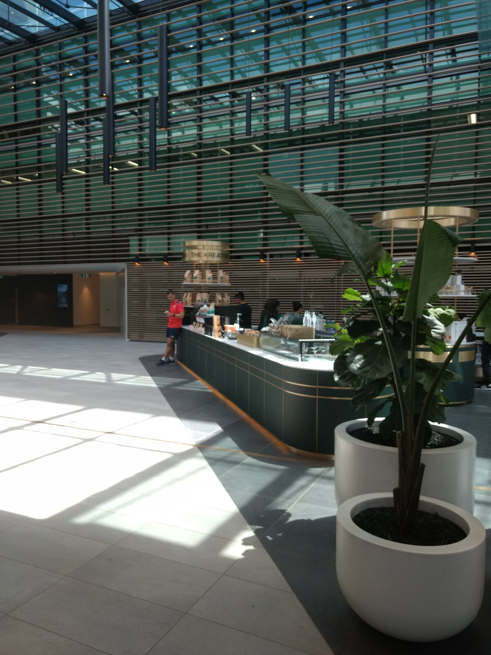 Pyrmont NSW Accommodation Burleigh