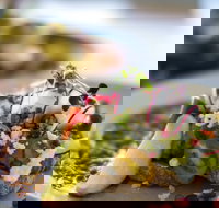 The Jolly Miller - Deer Park - Accommodation Burleigh