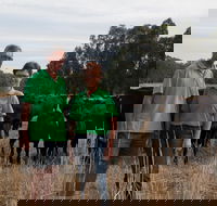 Milawa Organic Beef - Accommodation Burleigh