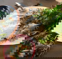 Thien An - Accommodation Burleigh