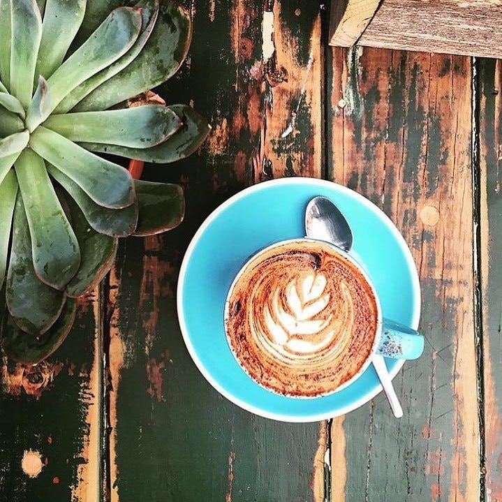 Eveleigh NSW Accommodation Burleigh