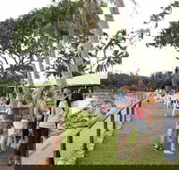 Darwin Ski Club - Accommodation Burleigh