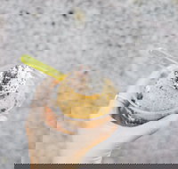  - Accommodation Burleigh