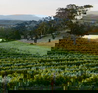 Granite Hills Winery - Accommodation Burleigh