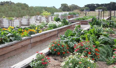 The Farmer's Place - Accommodation Burleigh 0