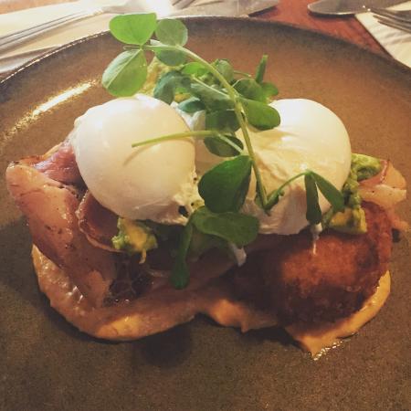 A Fan's Notes - Accommodation Burleigh 0