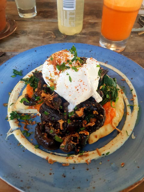 Mister Sunshine's - Accommodation Burleigh 4