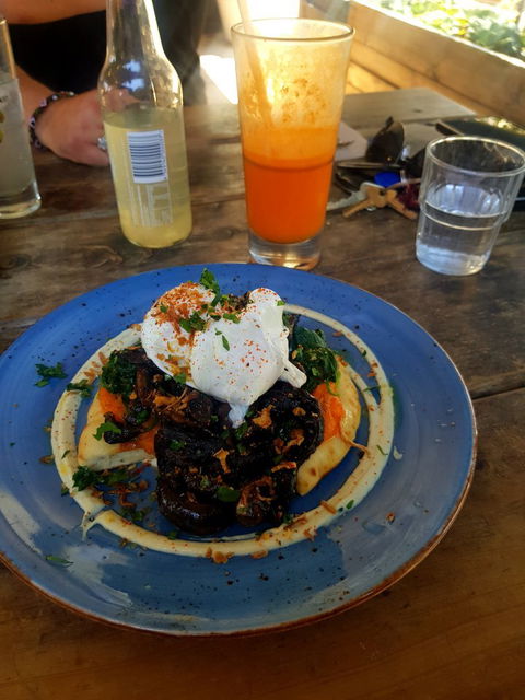 Mister Sunshine's - Accommodation Burleigh 6