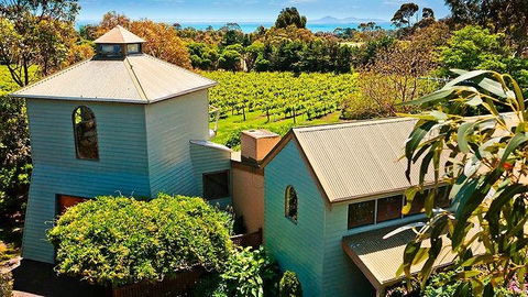 Curlewis Winery - Accommodation Burleigh 0