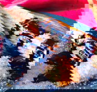 Donut King - Sunshine - Accommodation Burleigh