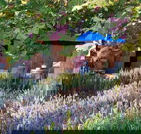 Macquariedale Organic Wines - Accommodation Burleigh