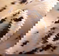 Royal Copenhagen Ice Cream - Glebe - Accommodation Burleigh