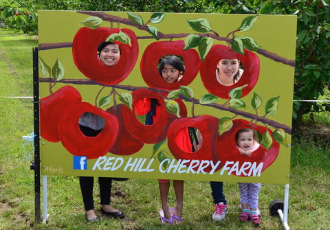 Red Hill Cherry Farm - Accommodation Burleigh 1