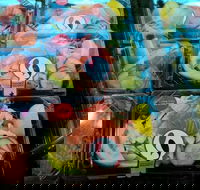 Sushi Sushi - Helensvale - Accommodation Burleigh