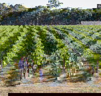 Weathercraft Wines - Accommodation Burleigh
