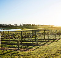 Wine Terrace and Cellar Door at Pt Leo Estate
