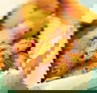 Mrs. Fields - Baldivis - Accommodation Burleigh