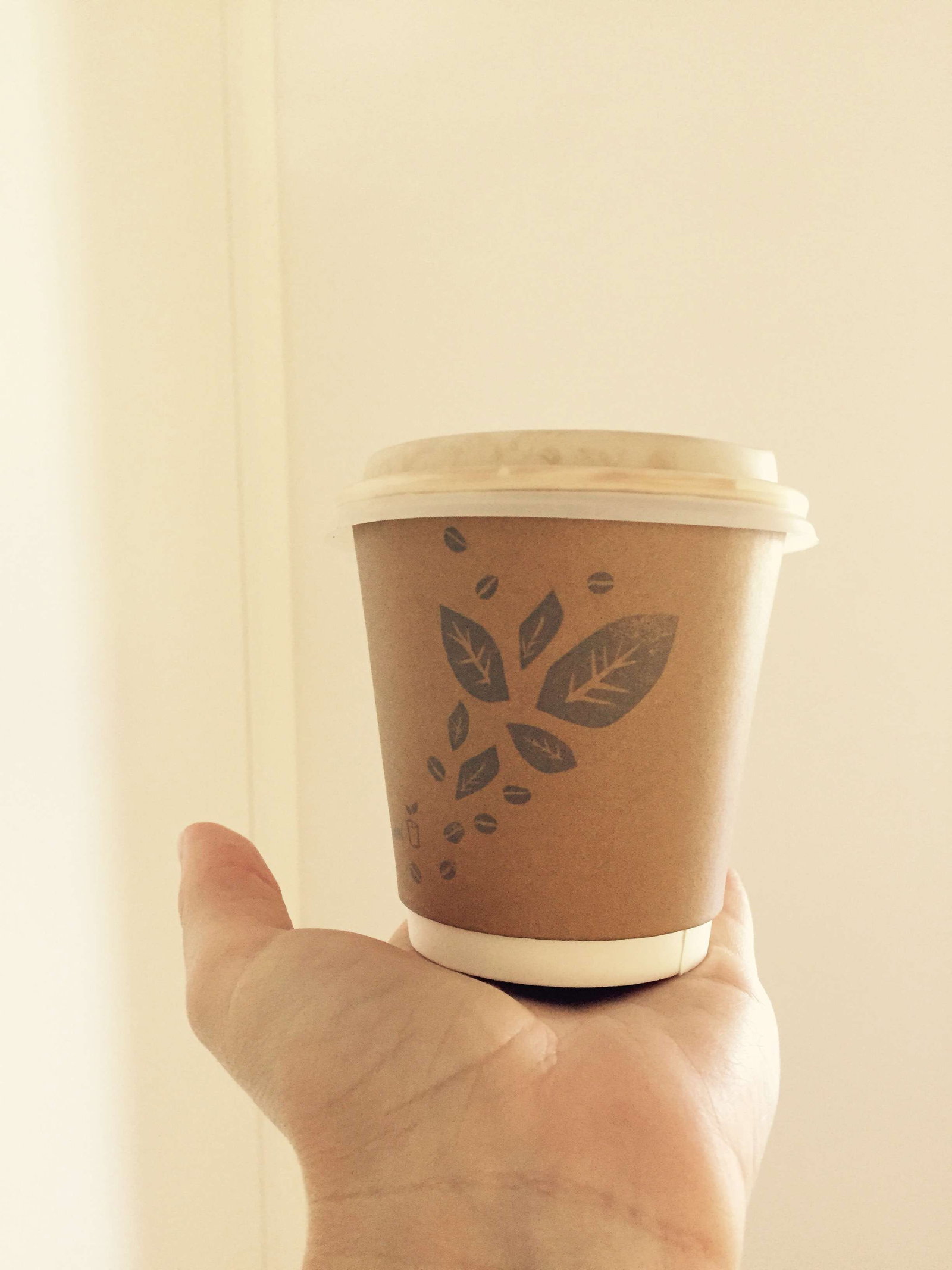 Accommodation Burleigh