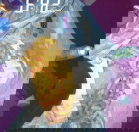 Sharks Tail Fish  Chippery - Accommodation Burleigh