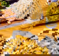 Little Bad Wolf - Accommodation Burleigh