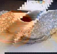 Steel Tree  Settlers - Accommodation Burleigh