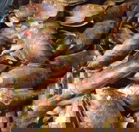 Pacific Eats - Accommodation Burleigh