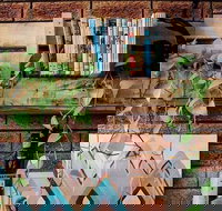 Wilderness Bar - Accommodation Burleigh