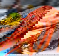 Freycinet Marine Farm - Accommodation Burleigh