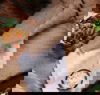 Little-L Chicken  Burgers - North Bondi - Accommodation Burleigh