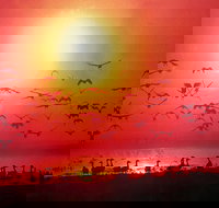 Barra Cafe on Riverview - Accommodation Burleigh