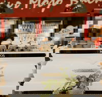 MOJOs in the Marketplace - Accommodation Burleigh