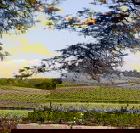Wynwood Estate - Accommodation Burleigh