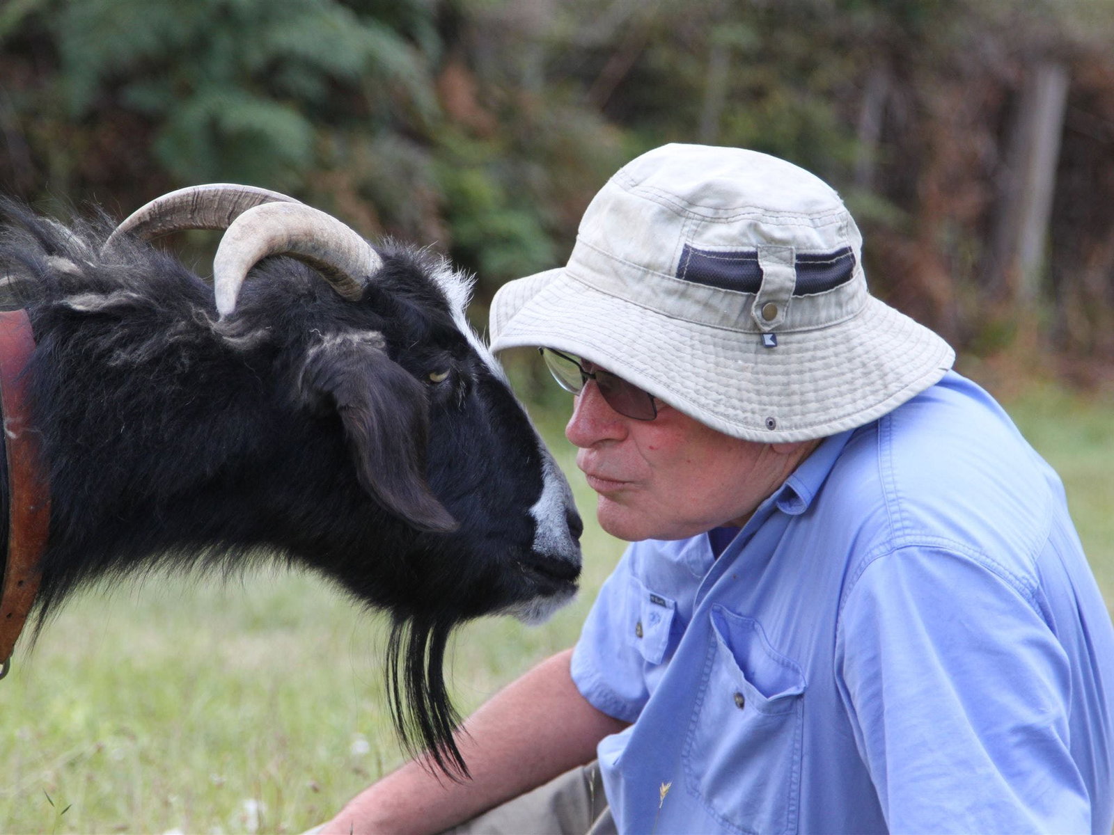  Accommodation Burleigh