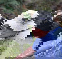 Providence Vineyards - Accommodation Burleigh