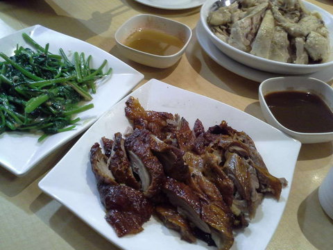 G Tree Cafe - Accommodation Burleigh 0