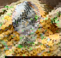 Chef and Shuka - Accommodation Burleigh