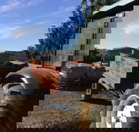 Massena - Accommodation Burleigh