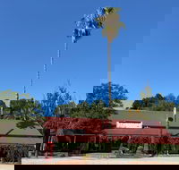 The Vine Hotel North Wangaratta - Accommodation Burleigh