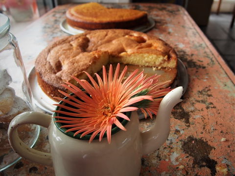 Beachwood Cafe - Accommodation Burleigh 0