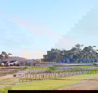 Blacklea Vineyard and Olive Grove - Accommodation Burleigh