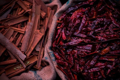 Urban Tadka - Accommodation Burleigh 0