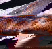 Balmoral Pizzeria - Accommodation Burleigh