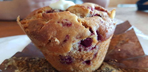 Hevan Espresso - Accommodation Burleigh 0