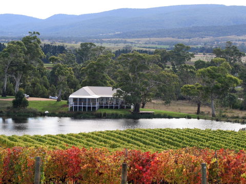 Milton Vineyard - Accommodation Burleigh 0